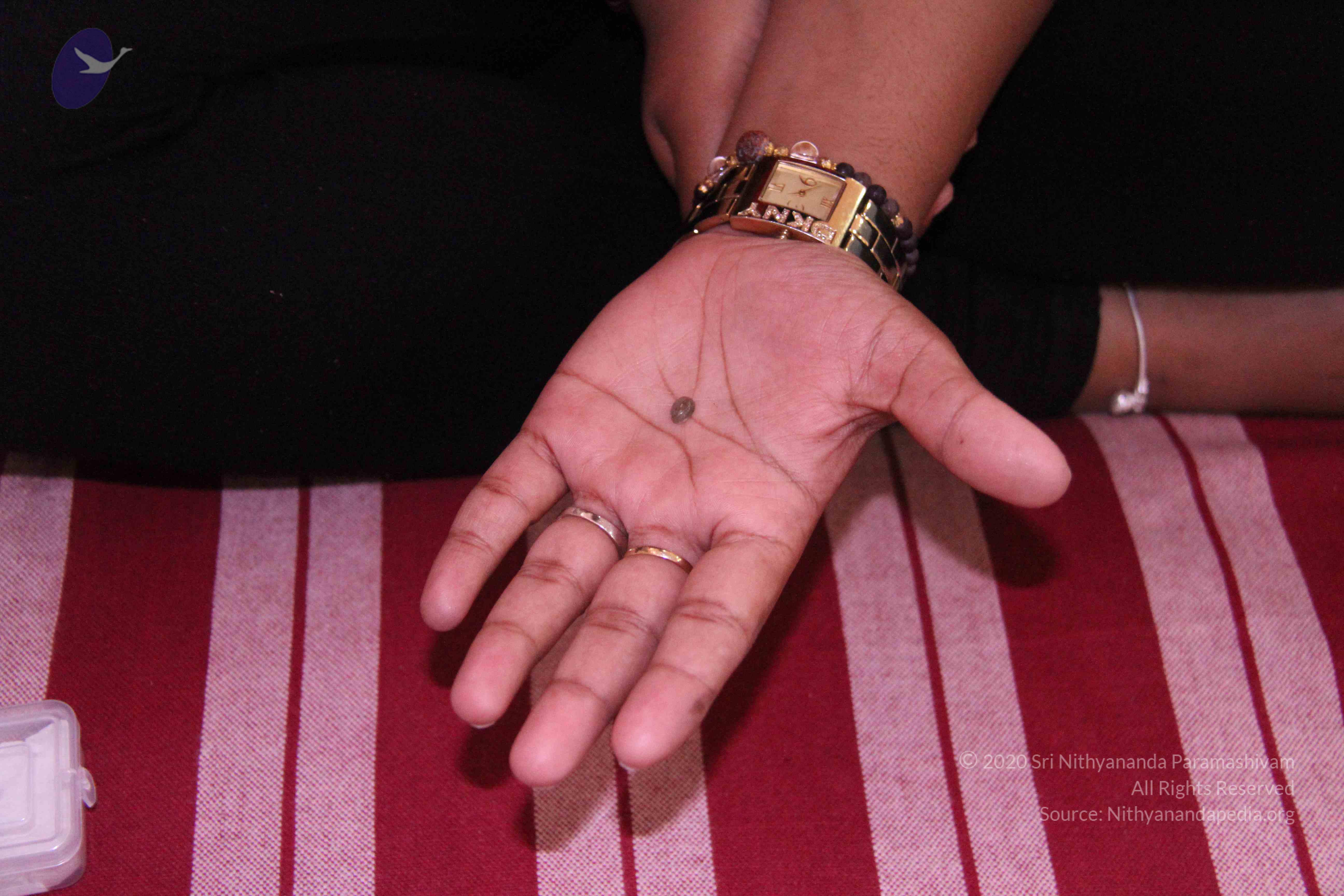 20110828_Photo_1006_IMG_1244_CMP_WM