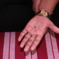 20110828_Photo_1006_IMG_1244_CMP_WM