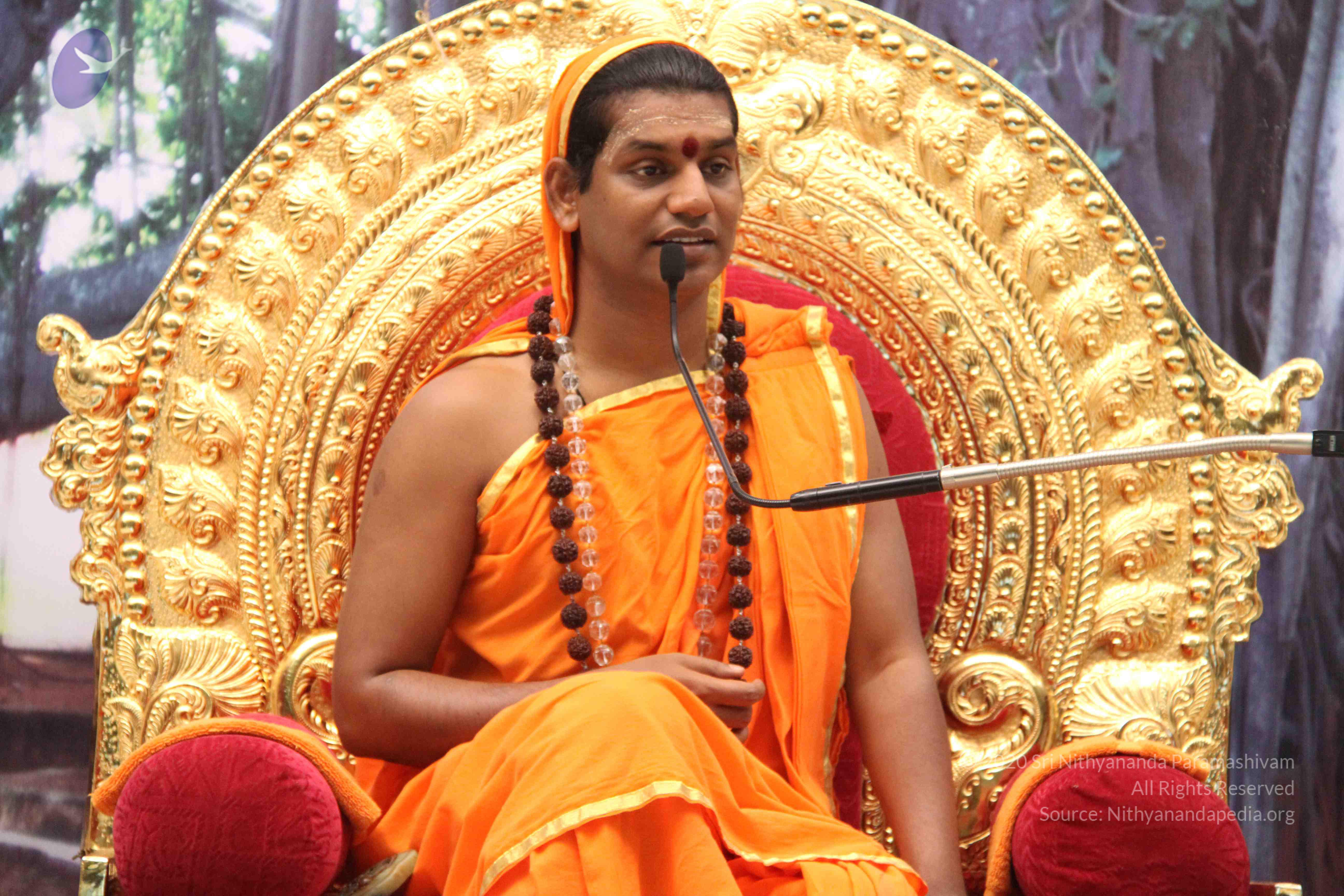 20110828_Photo_1010_IMG_1291_CMP_WM