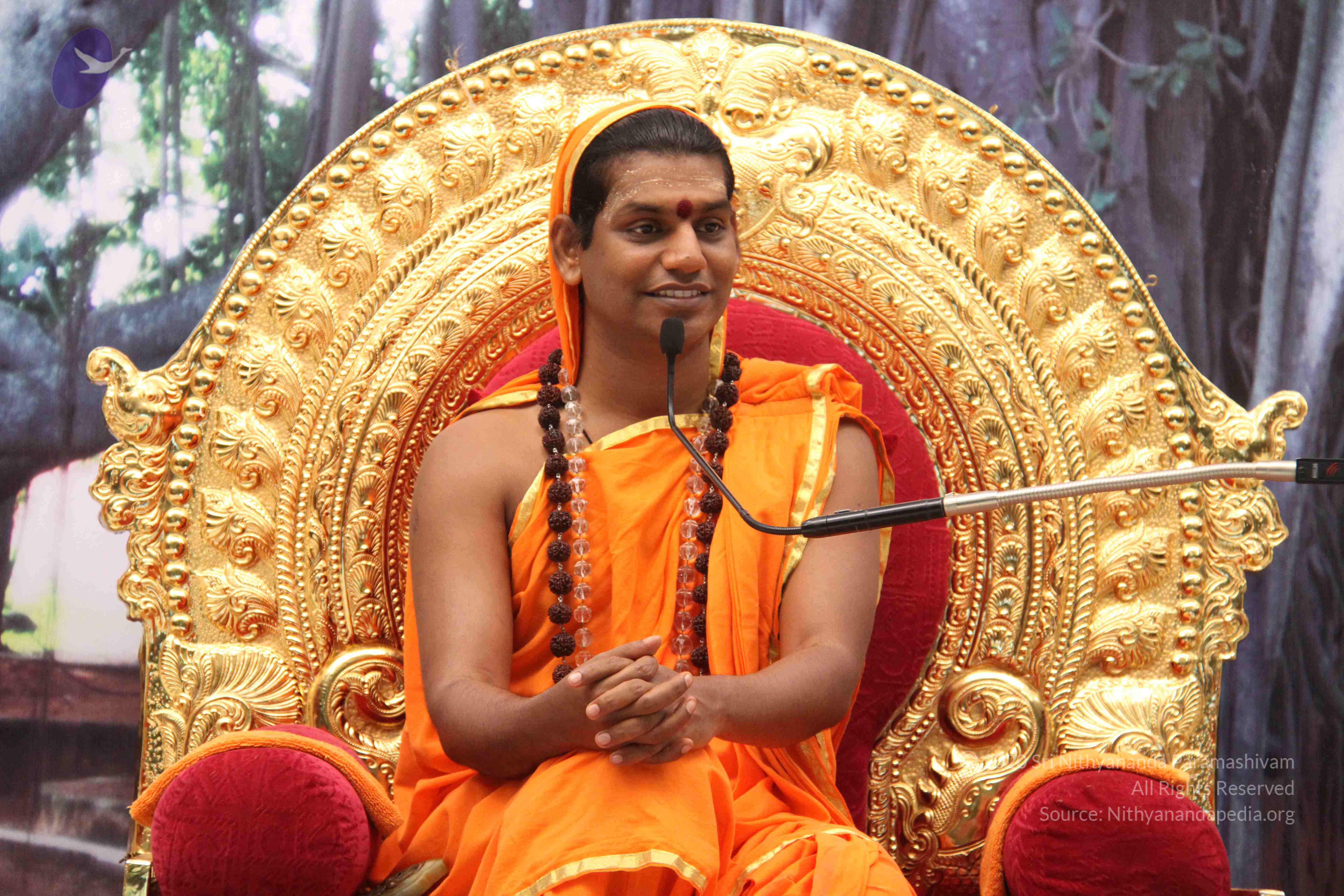 20110828_Photo_1025_IMG_1337_CMP_WM