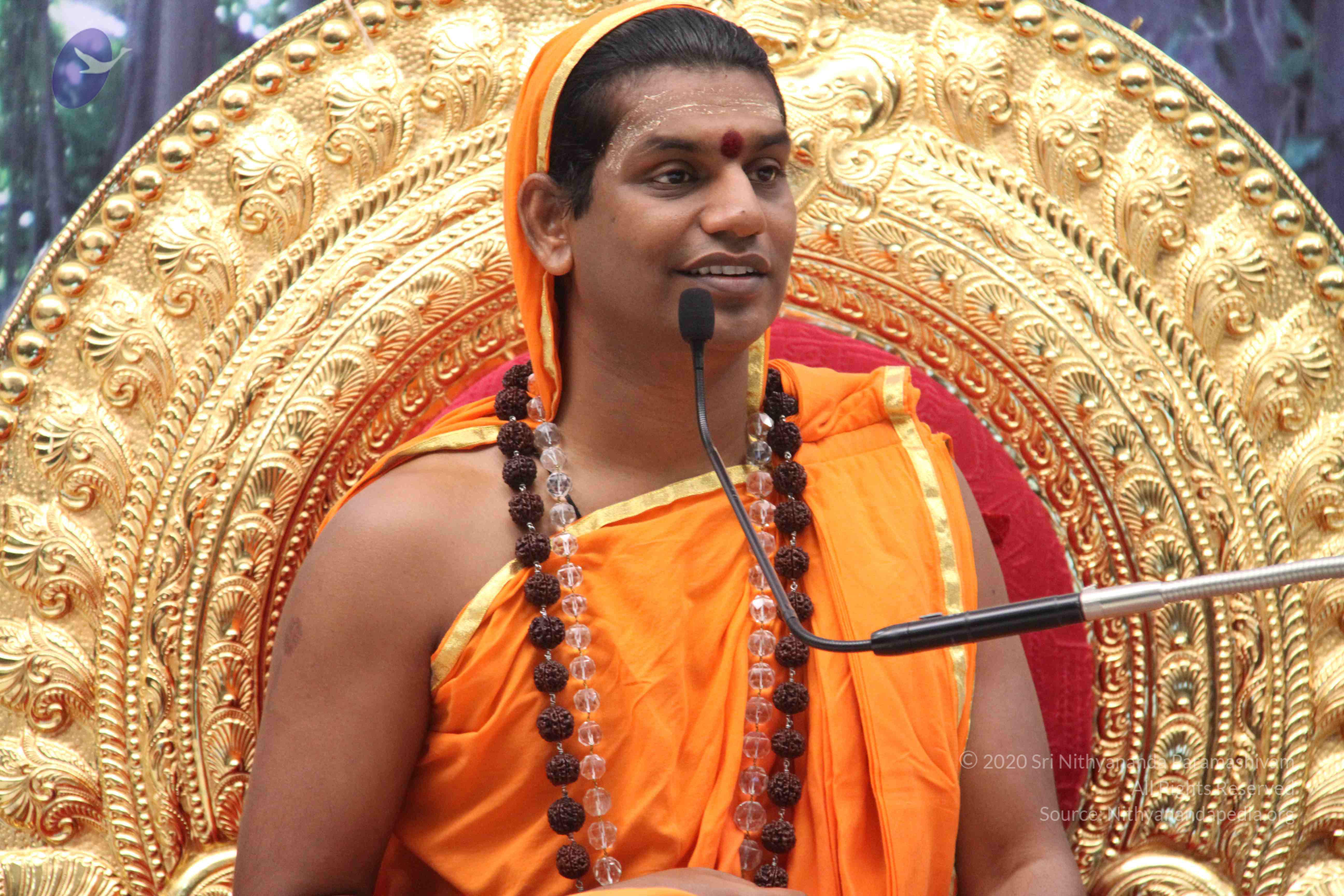 20110828_Photo_1031_IMG_1292_CMP_WM