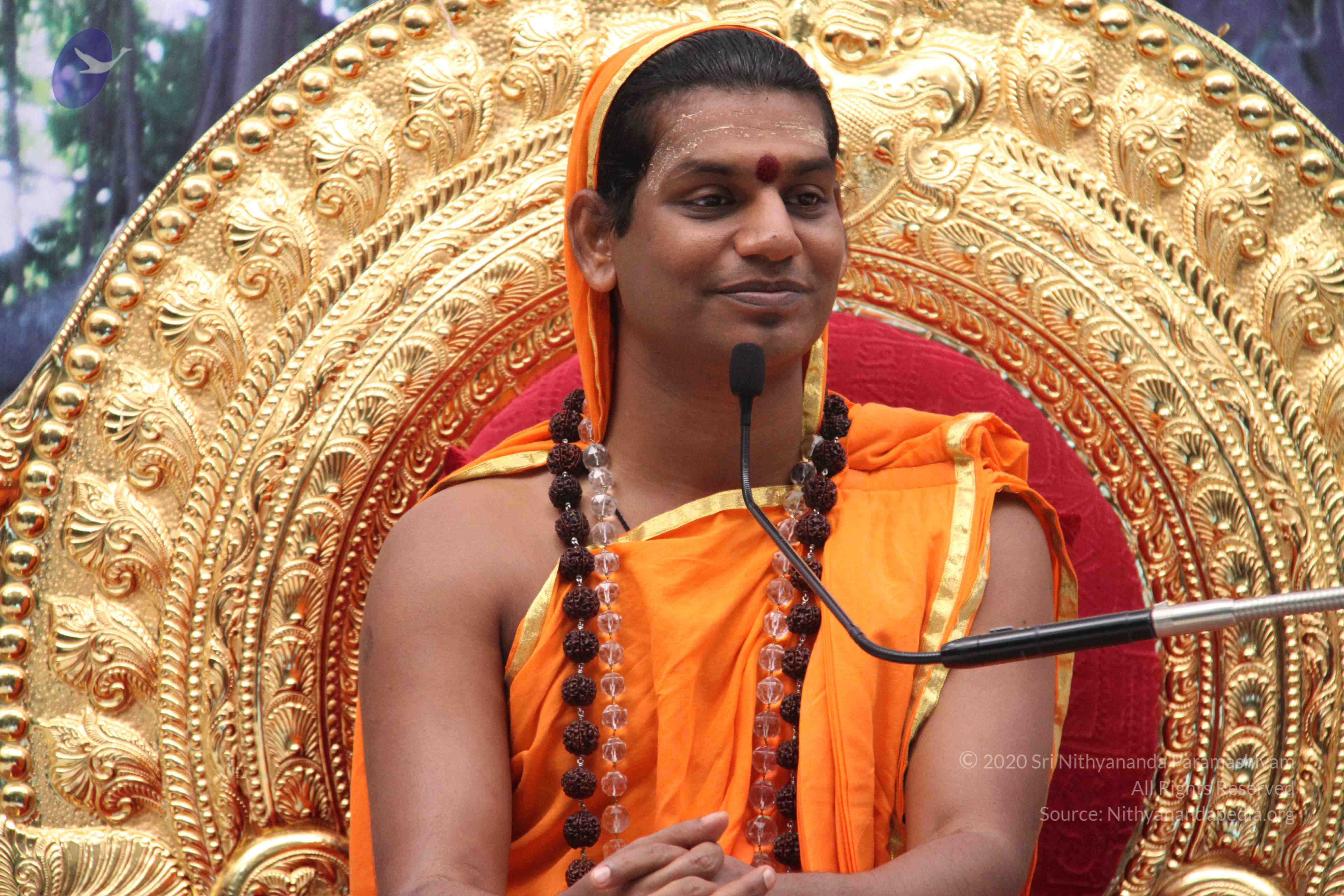 20110828_Photo_1035_IMG_1335_CMP_WM