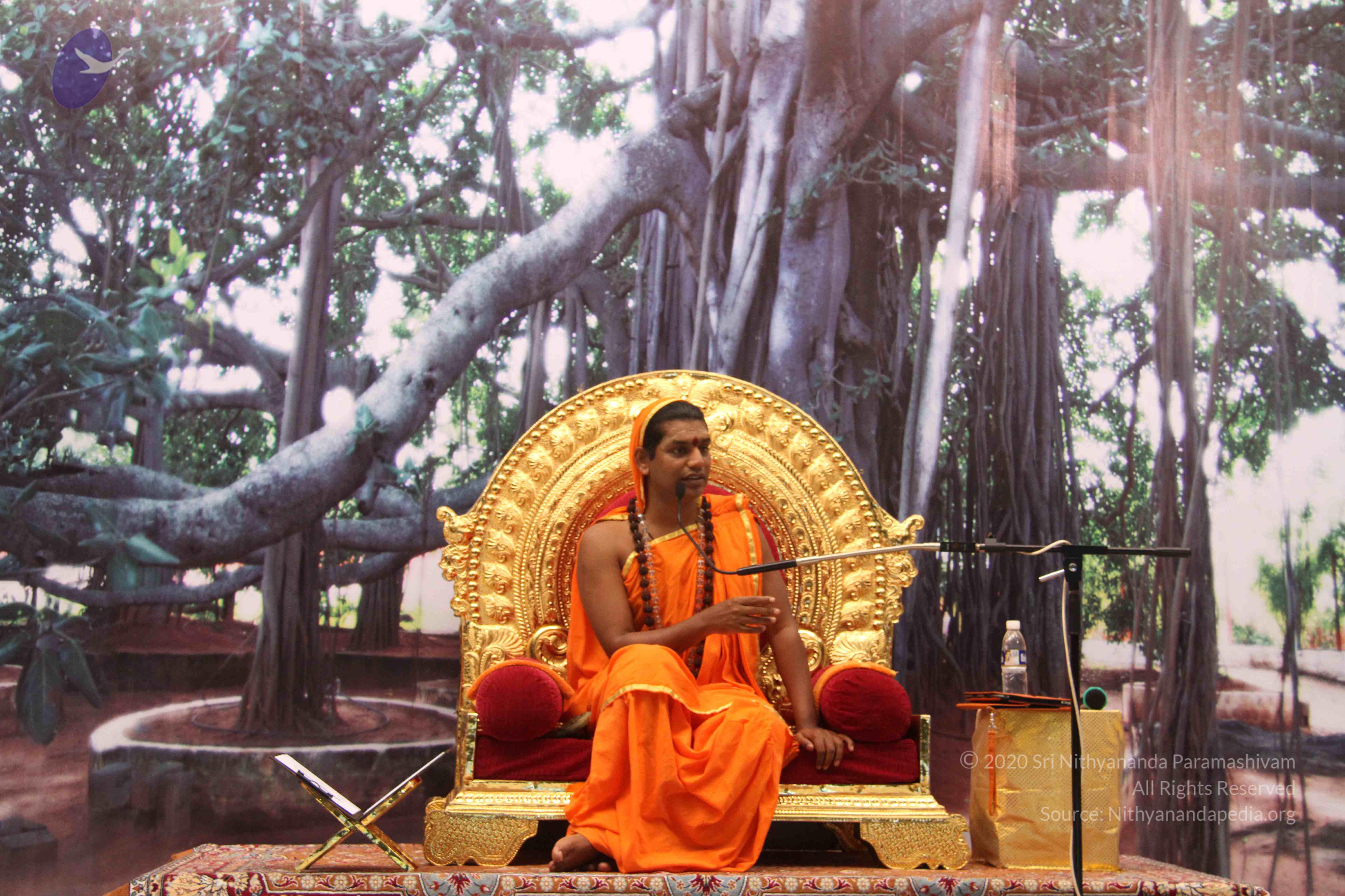 20110828_Photo_1037_IMG_1324_CMP_WM