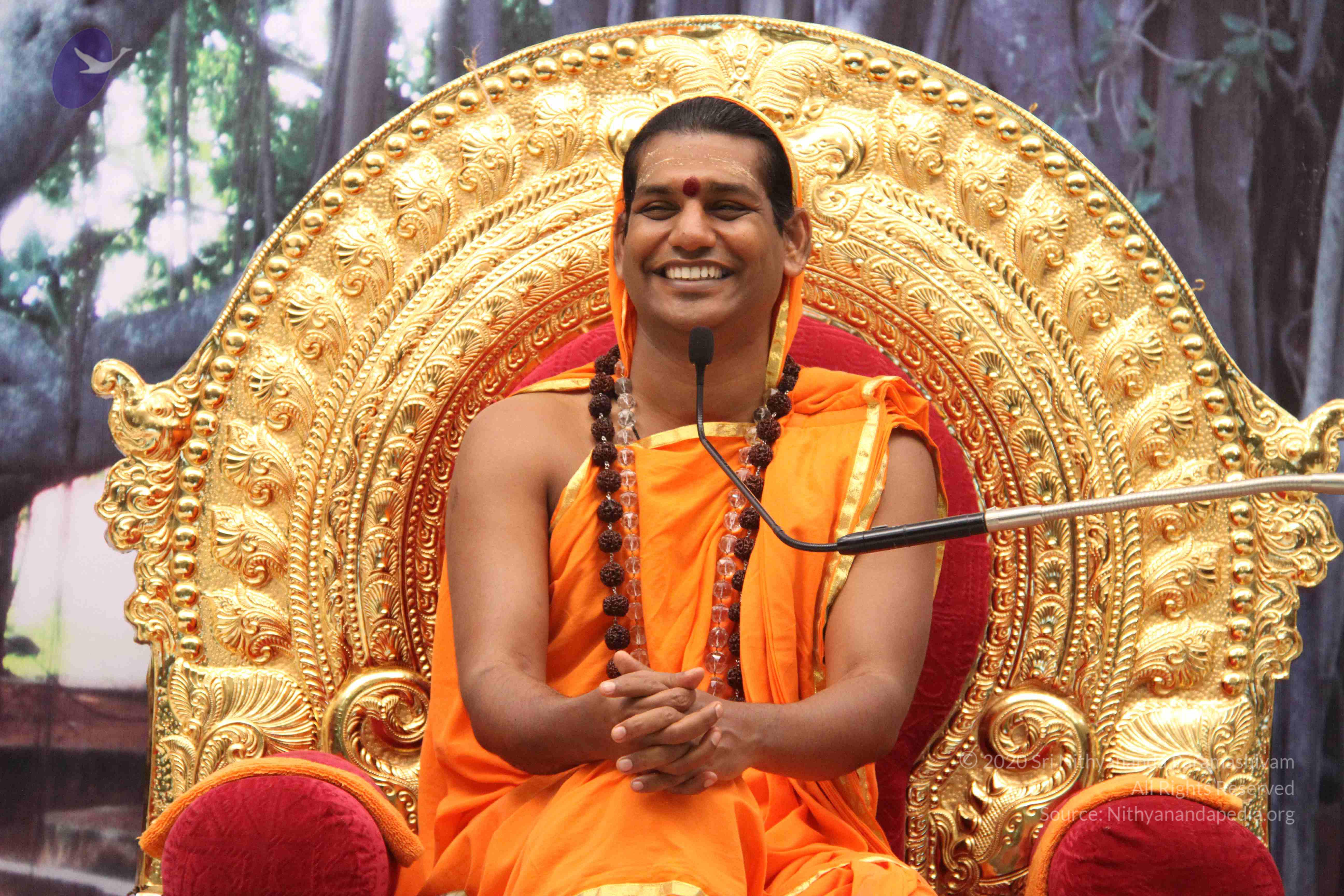 20110828_Photo_1038_IMG_1338_CMP_WM