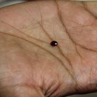 20110828_Photo_1004_IMG_2697_CMP_WM