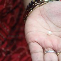 20110828_Photo_1005_IMG_1345_CMP_WM