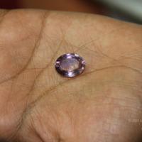 20110828_Photo_1006_IMG_2692_CMP_WM