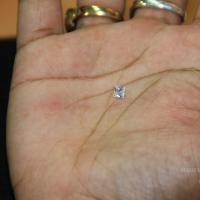 20110828_Photo_1007_IMG_2683_CMP_WM