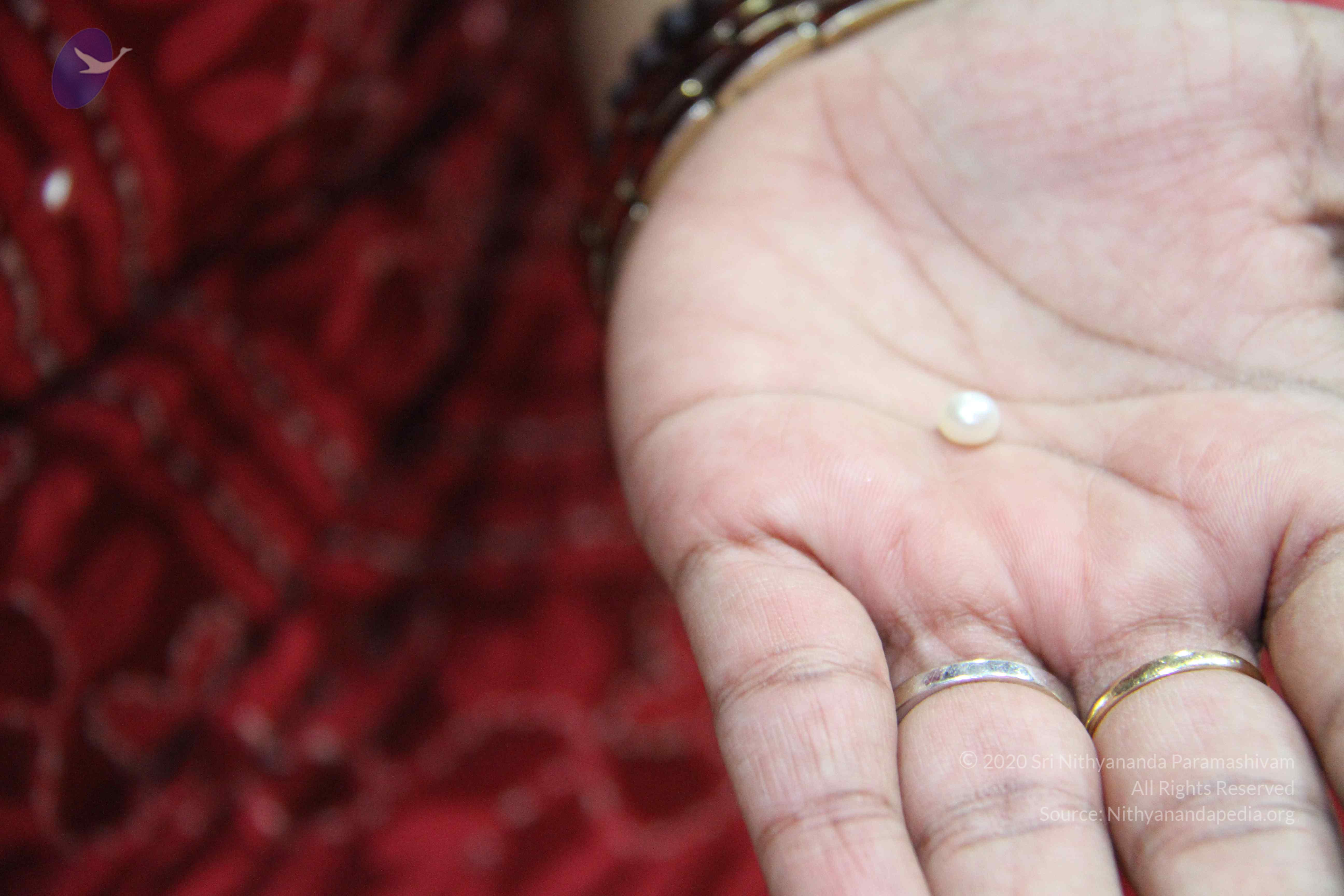 20110828_Photo_1008_IMG_1347_CMP_WM