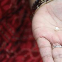 20110828_Photo_1008_IMG_1347_CMP_WM