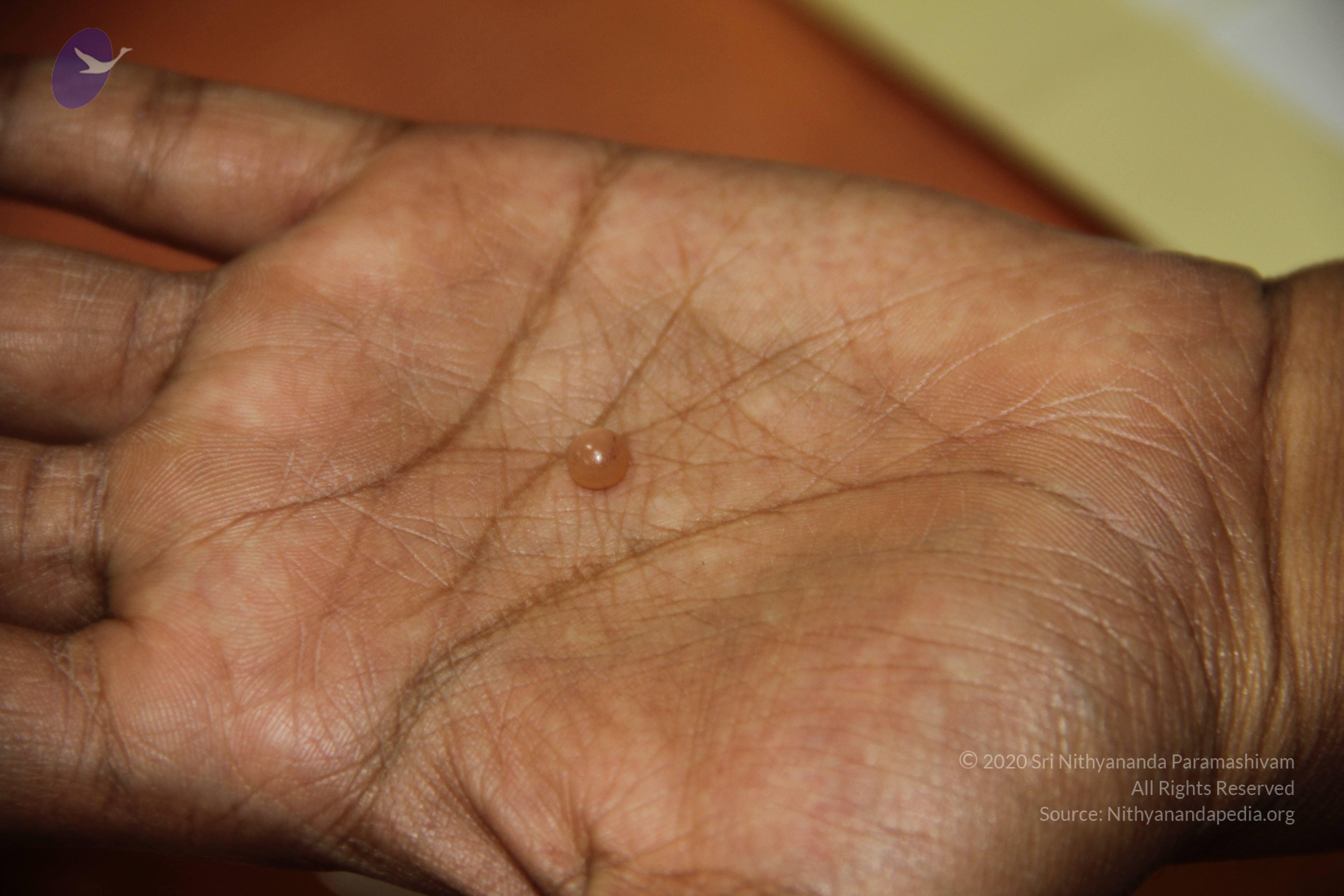 20110828_Photo_1009_IMG_2689_CMP_WM