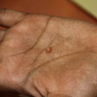 20110828_Photo_1009_IMG_2689_CMP_WM