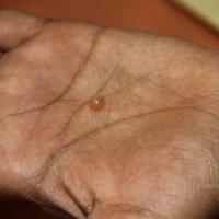 20110828_Photo_1011_IMG_2690_CMP_WM