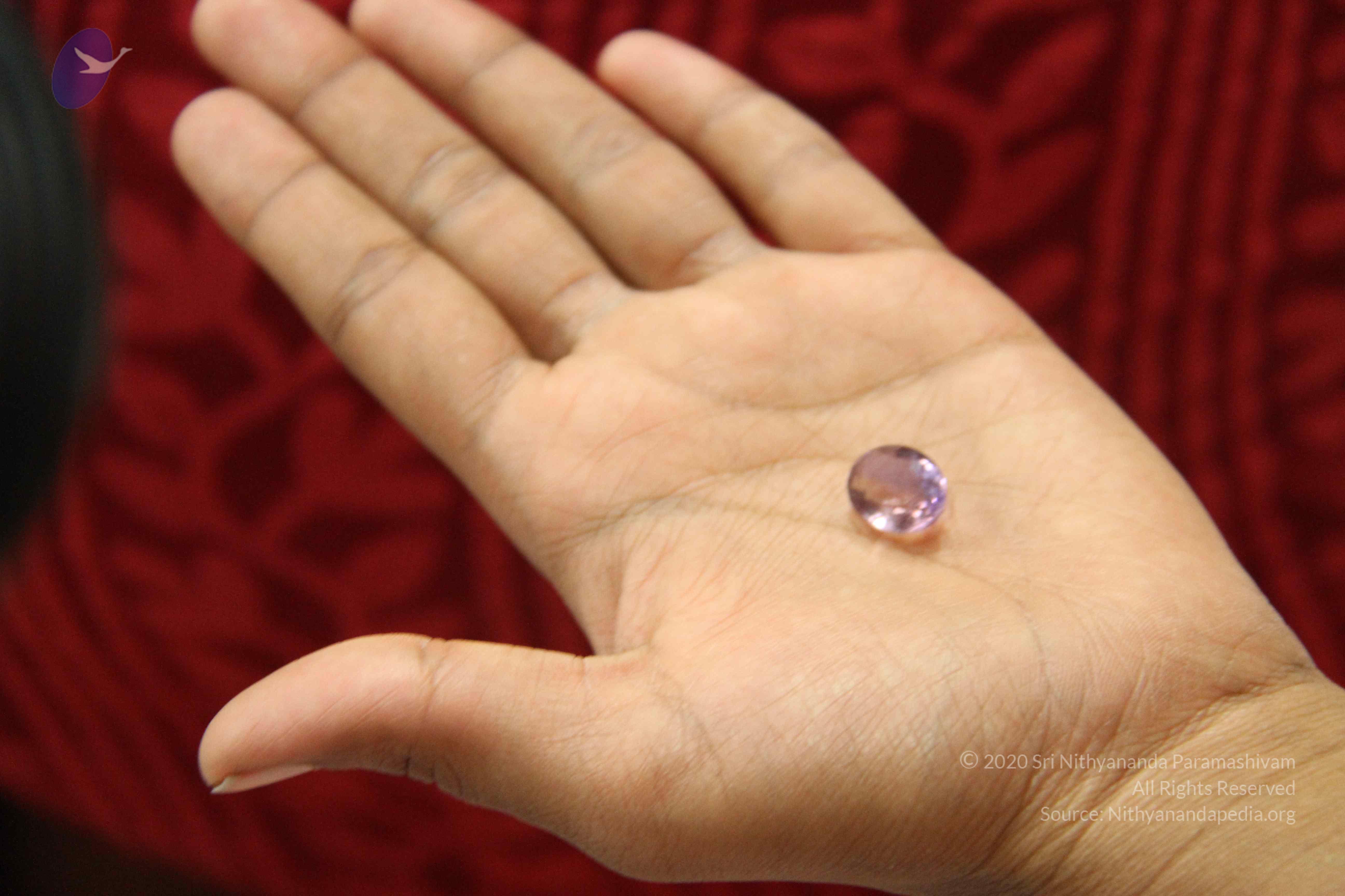 20110828_Photo_1014_IMG_1378_CMP_WM