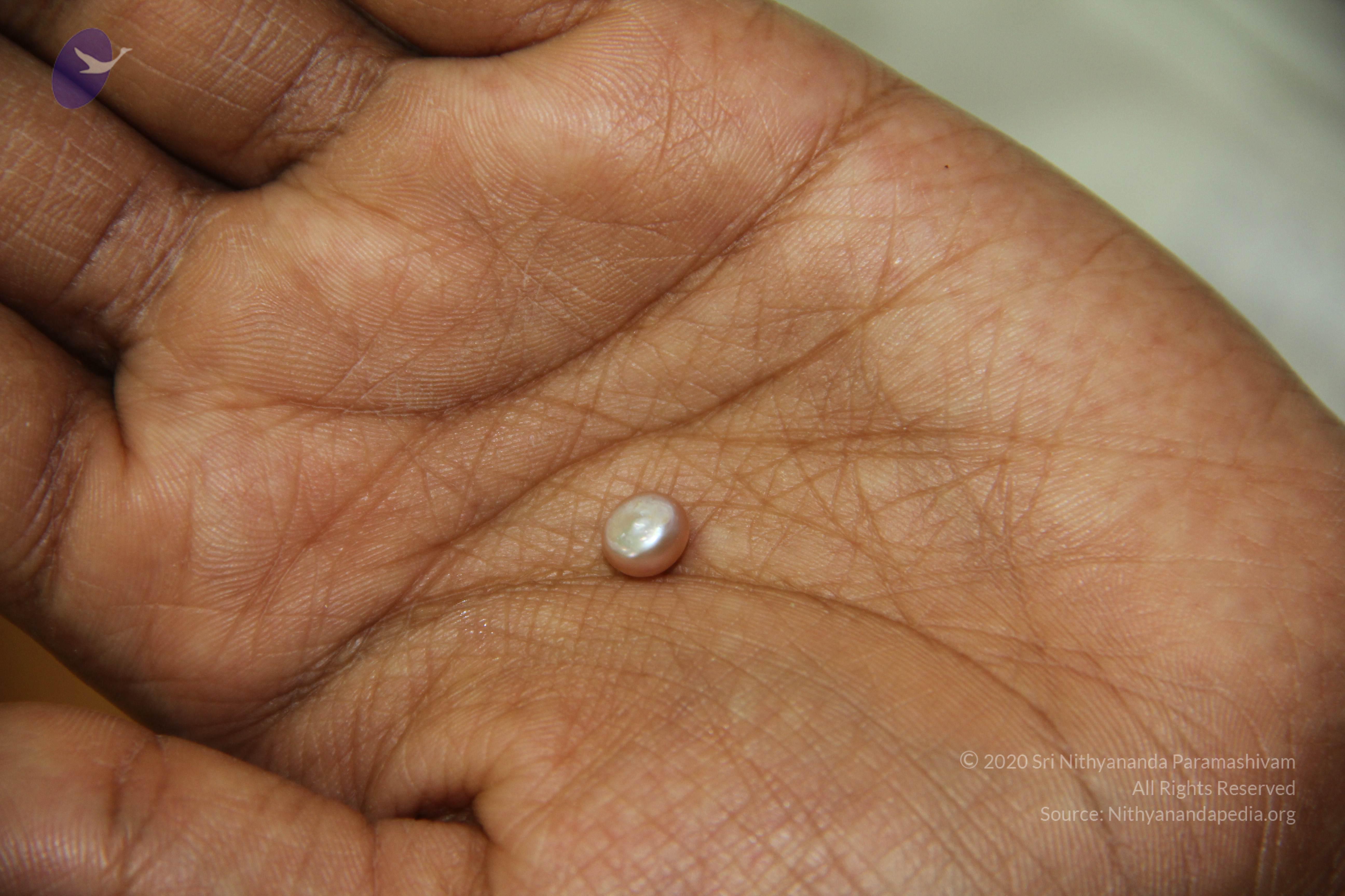 20110828_Photo_1015_IMG_2693_CMP_WM