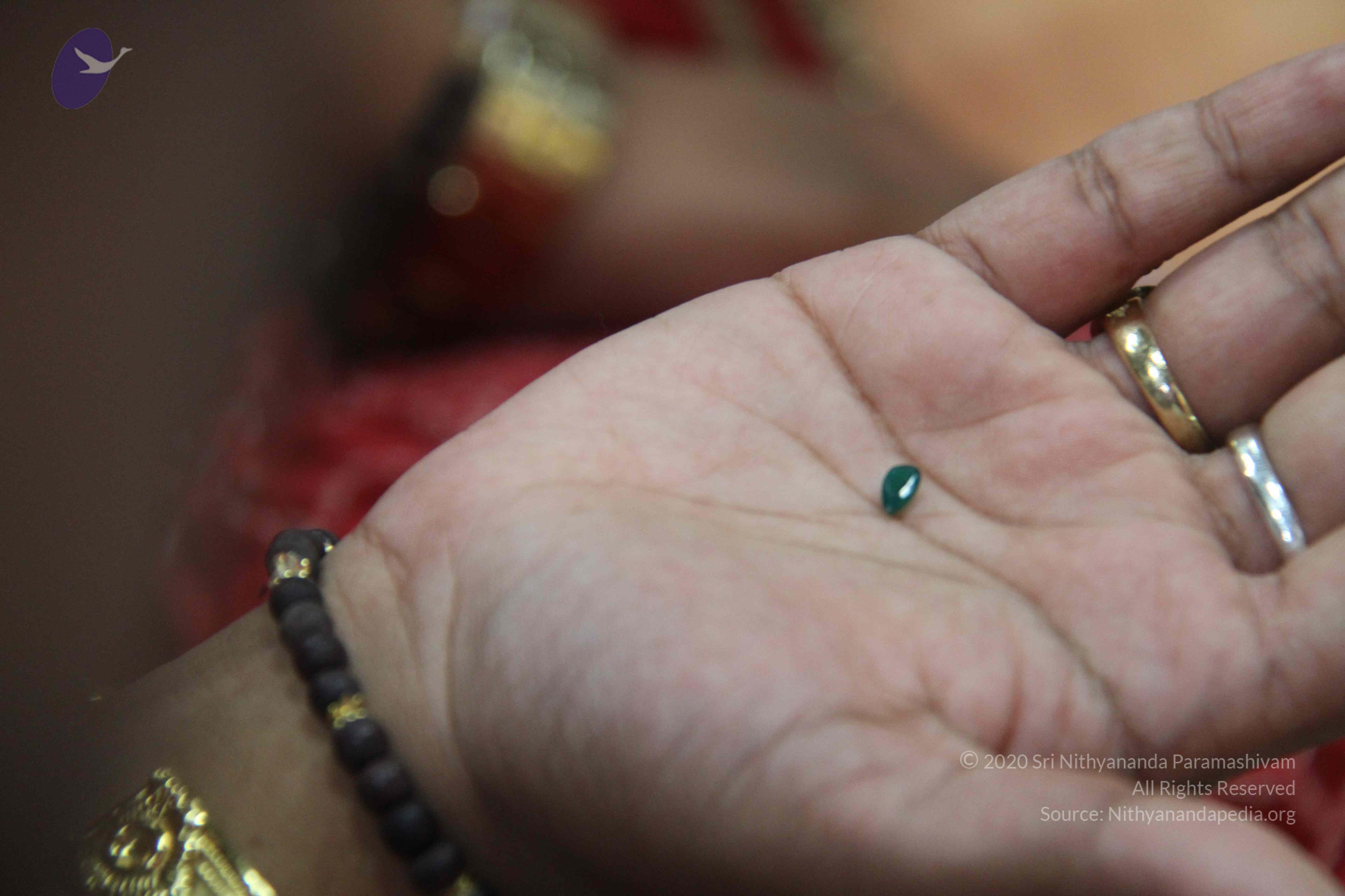 20110828_Photo_1016_IMG_1350_CMP_WM