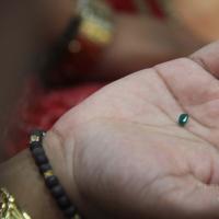 20110828_Photo_1016_IMG_1350_CMP_WM