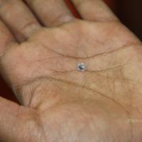 20110828_Photo_1019_IMG_2687_CMP_WM