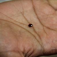 20110828_Photo_1021_IMG_2696_CMP_WM