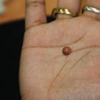 20110828_Photo_1023_IMG_2685_CMP_WM