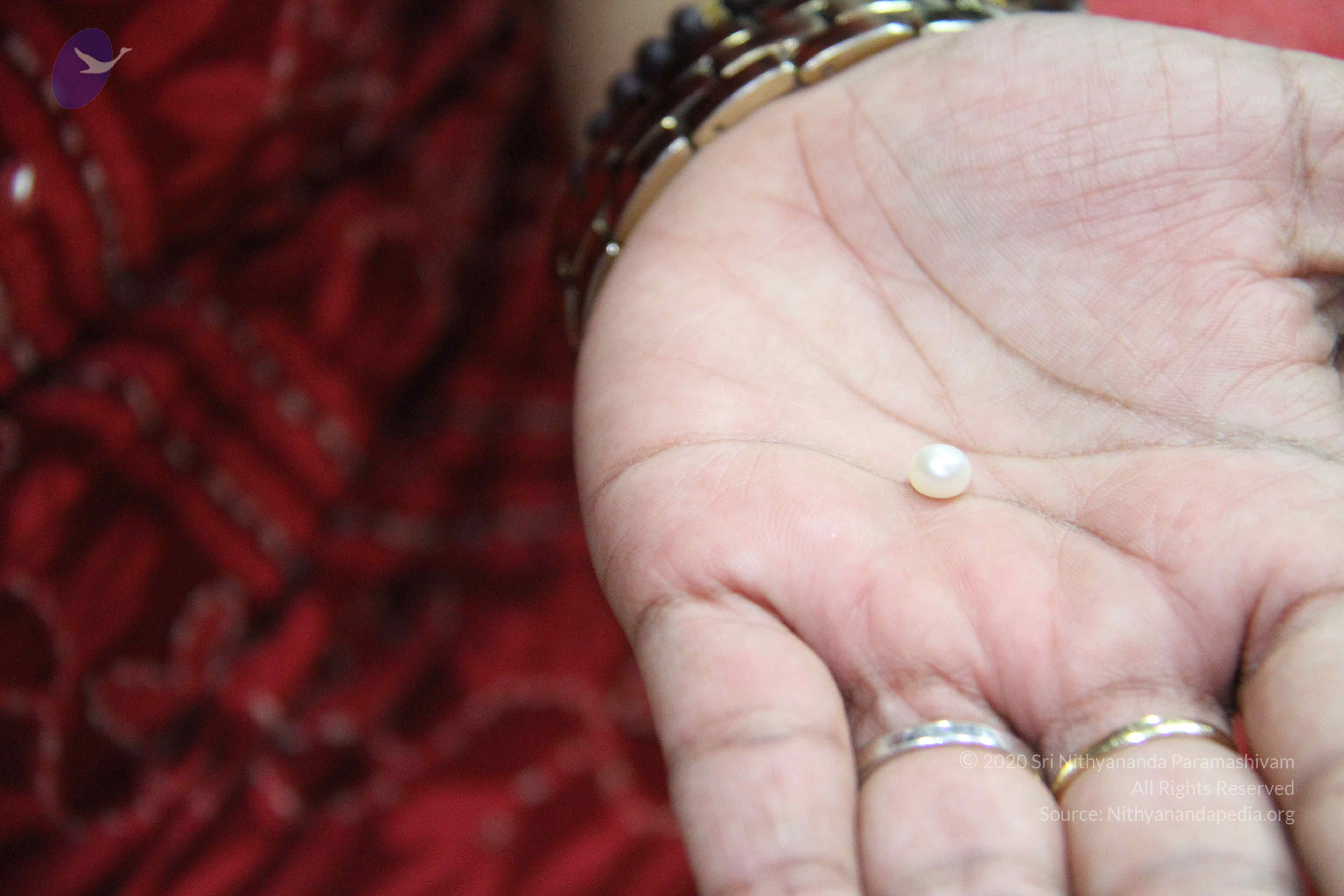 20110828_Photo_1025_IMG_1346_CMP_WM