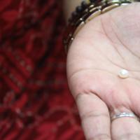 20110828_Photo_1025_IMG_1346_CMP_WM