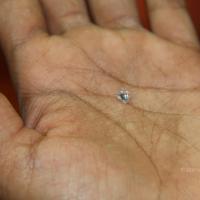 20110828_Photo_1026_IMG_2688_CMP_WM