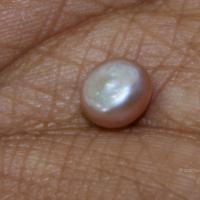 20110828_Photo_1000_51_CMP_WM