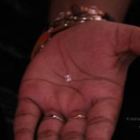 20110828_Photo_1003_IMG_1209_CMP_WM