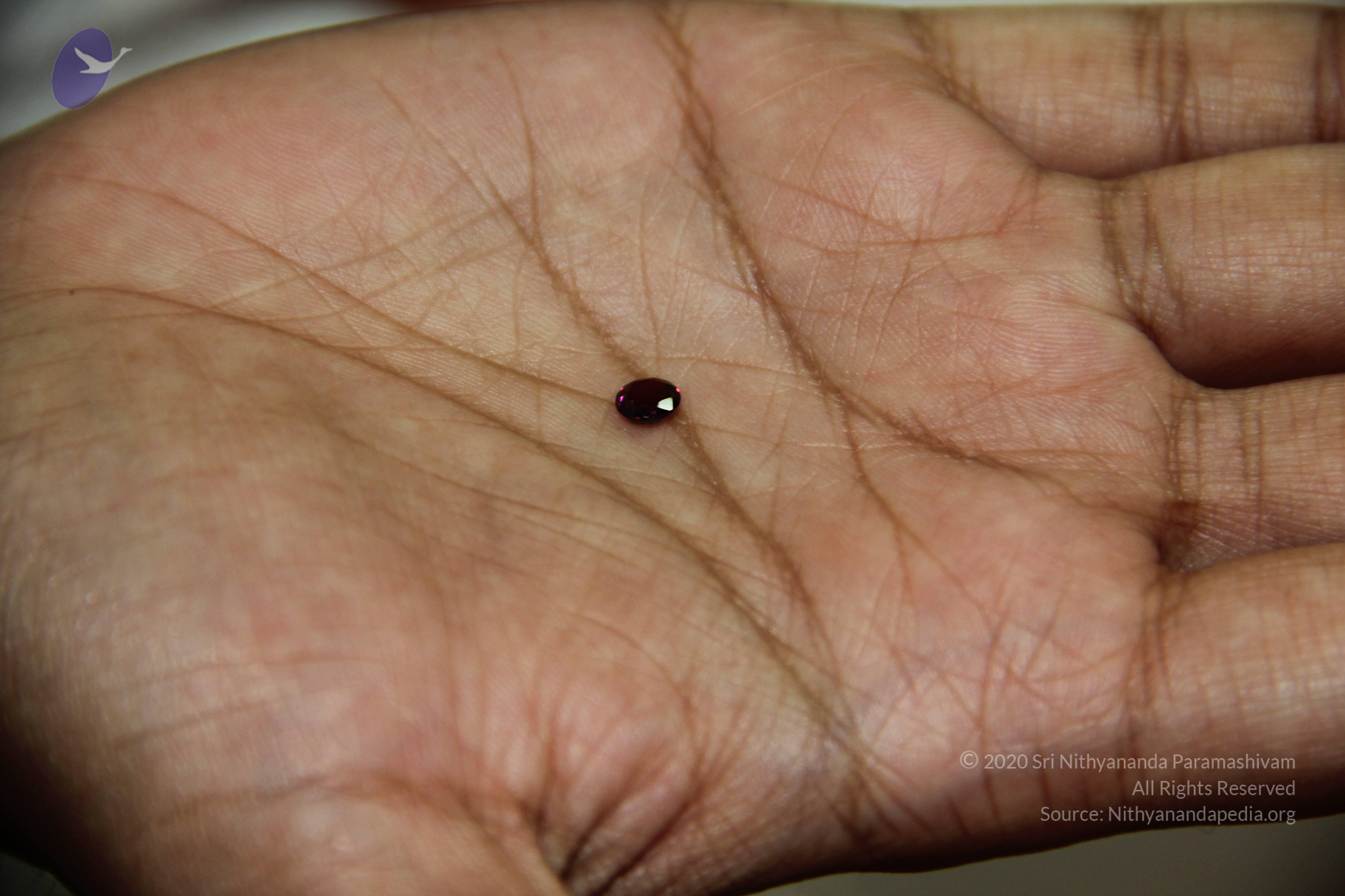 20110828_Photo_1005_IMG_2697_CMP_WM