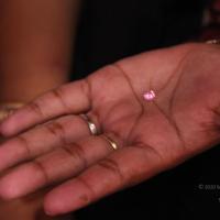 20110828_Photo_1014_IMG_1195_CMP_WM