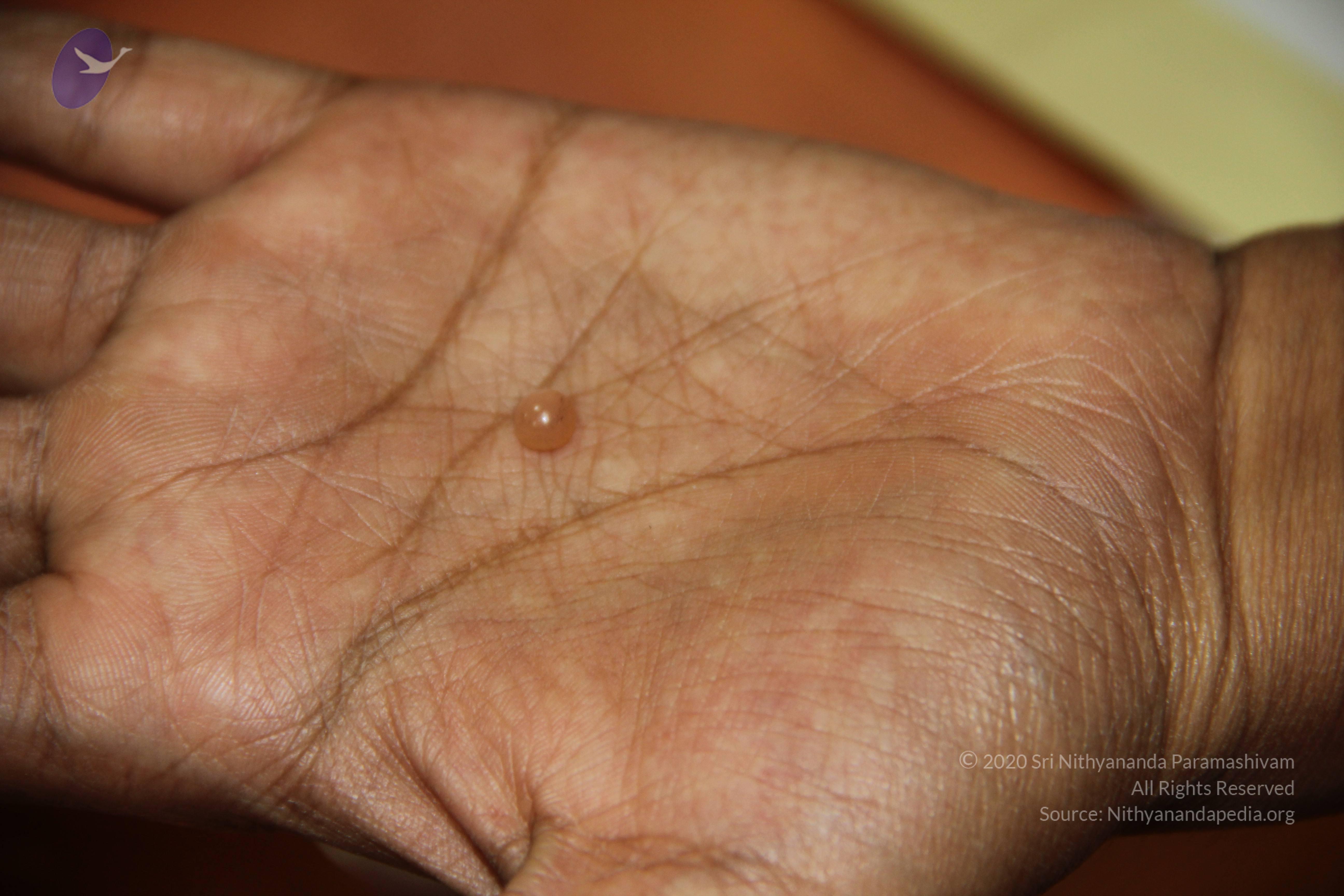 20110828_Photo_1015_IMG_2690_CMP_WM