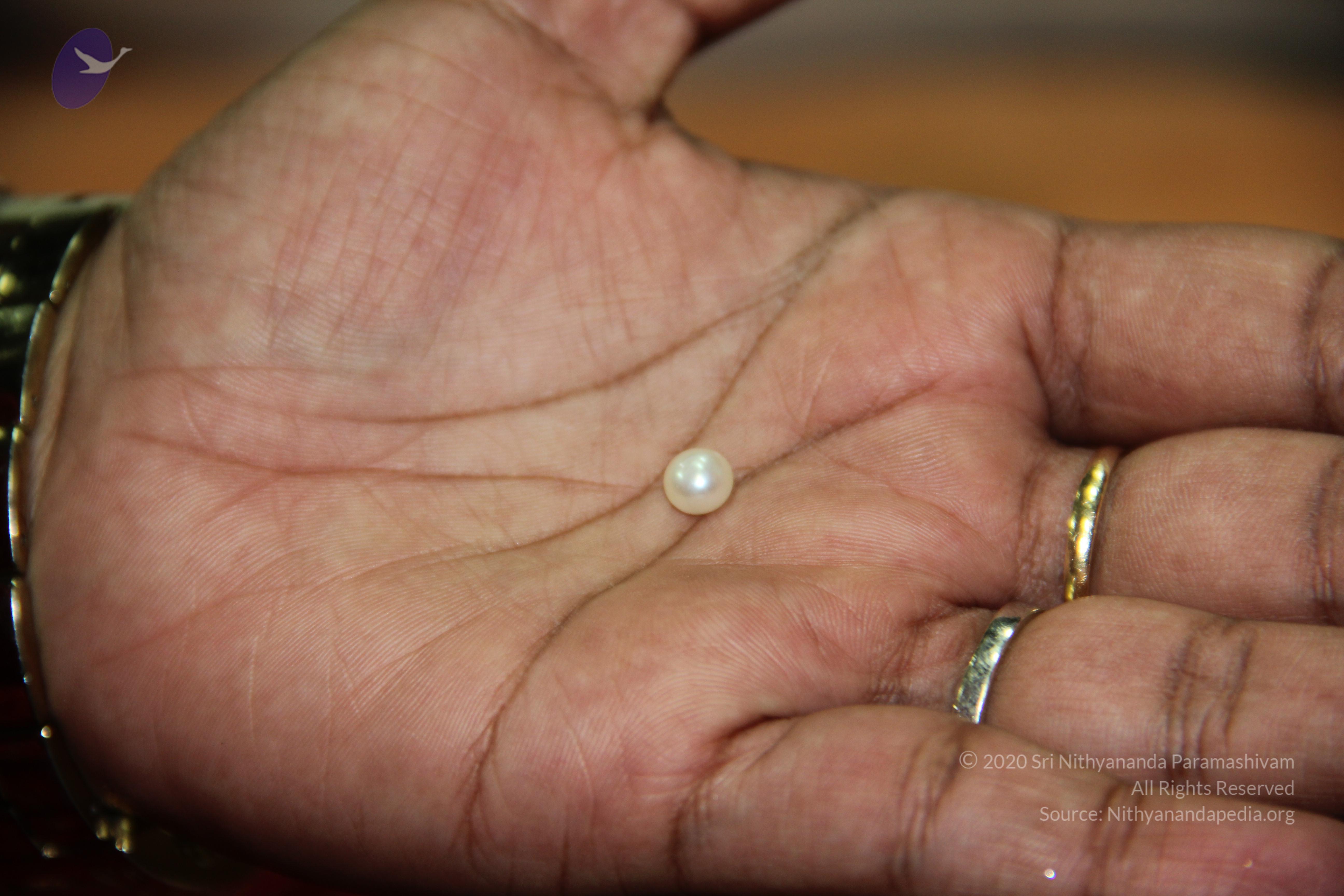 20110828_Photo_1016_IMG_2673_CMP_WM