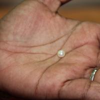 20110828_Photo_1016_IMG_2673_CMP_WM