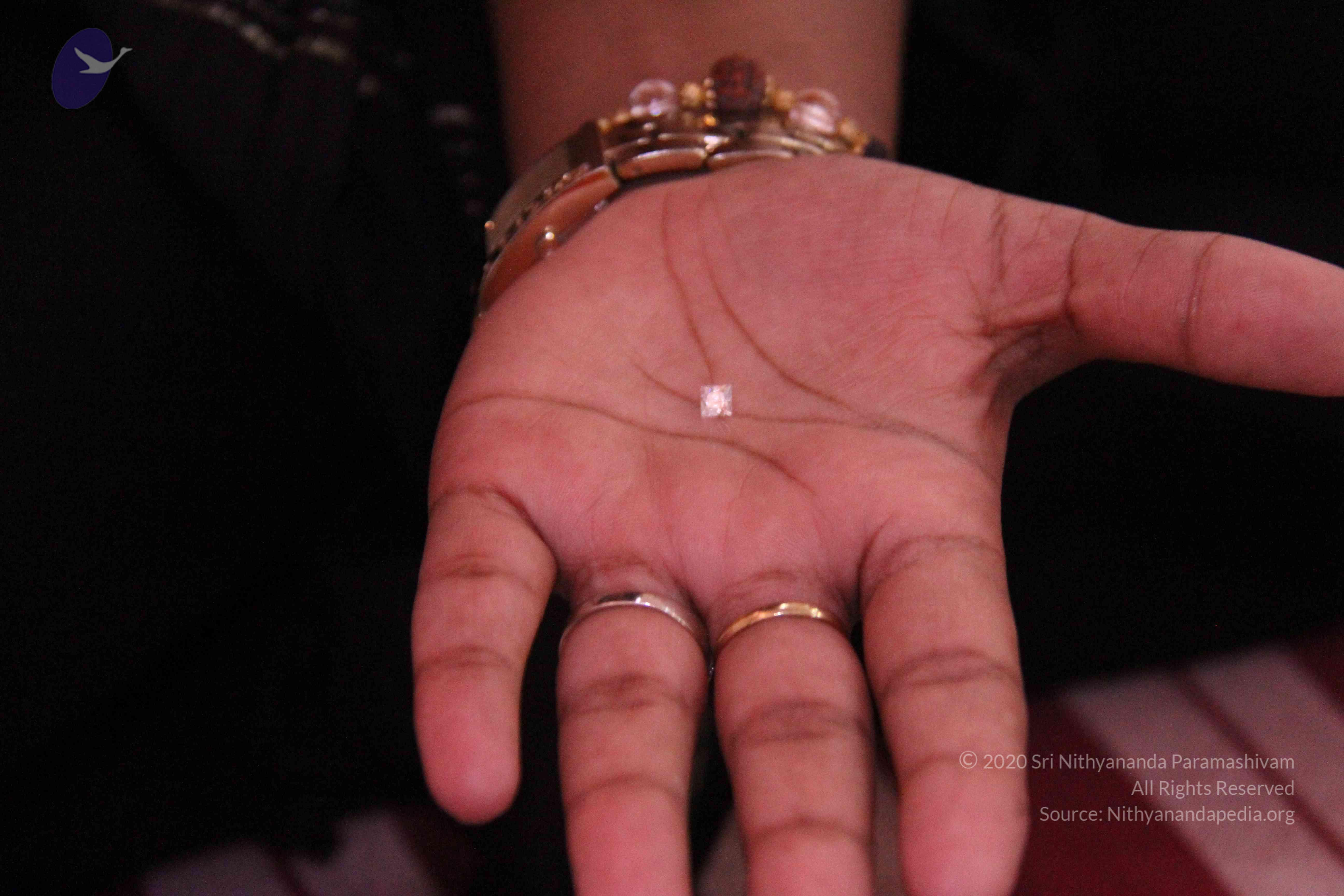 20110828_Photo_1018_IMG_1212_CMP_WM