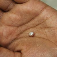 20110828_Photo_1020_IMG_2693_CMP_WM