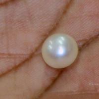 20110828_Photo_1021_44_CMP_WM