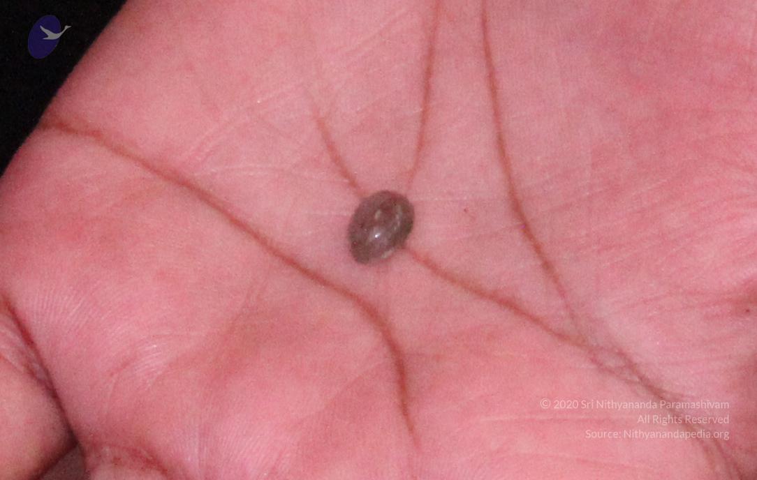 20110828_Photo_1022_26_CMP_WM