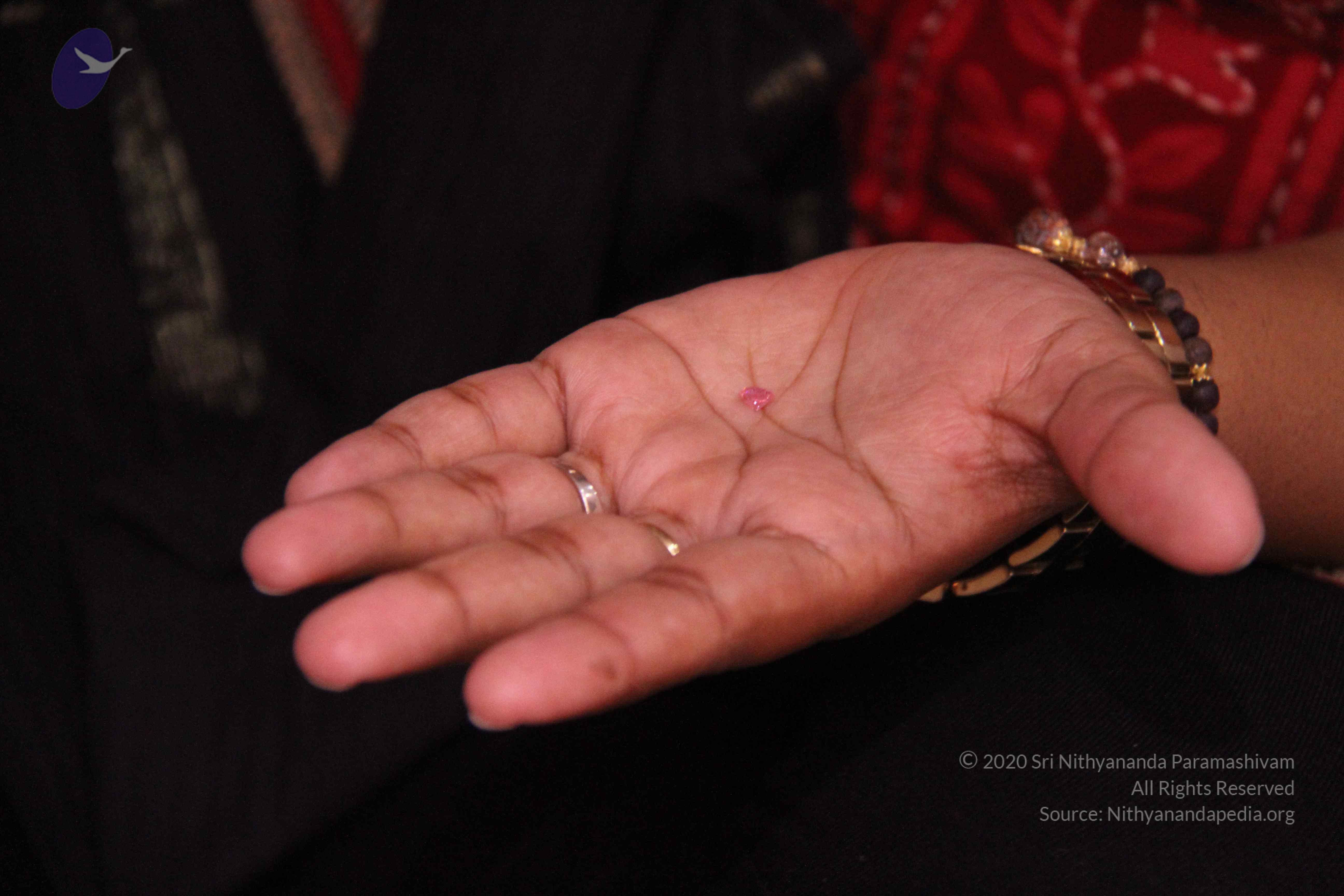 20110828_Photo_1023_IMG_1196_CMP_WM