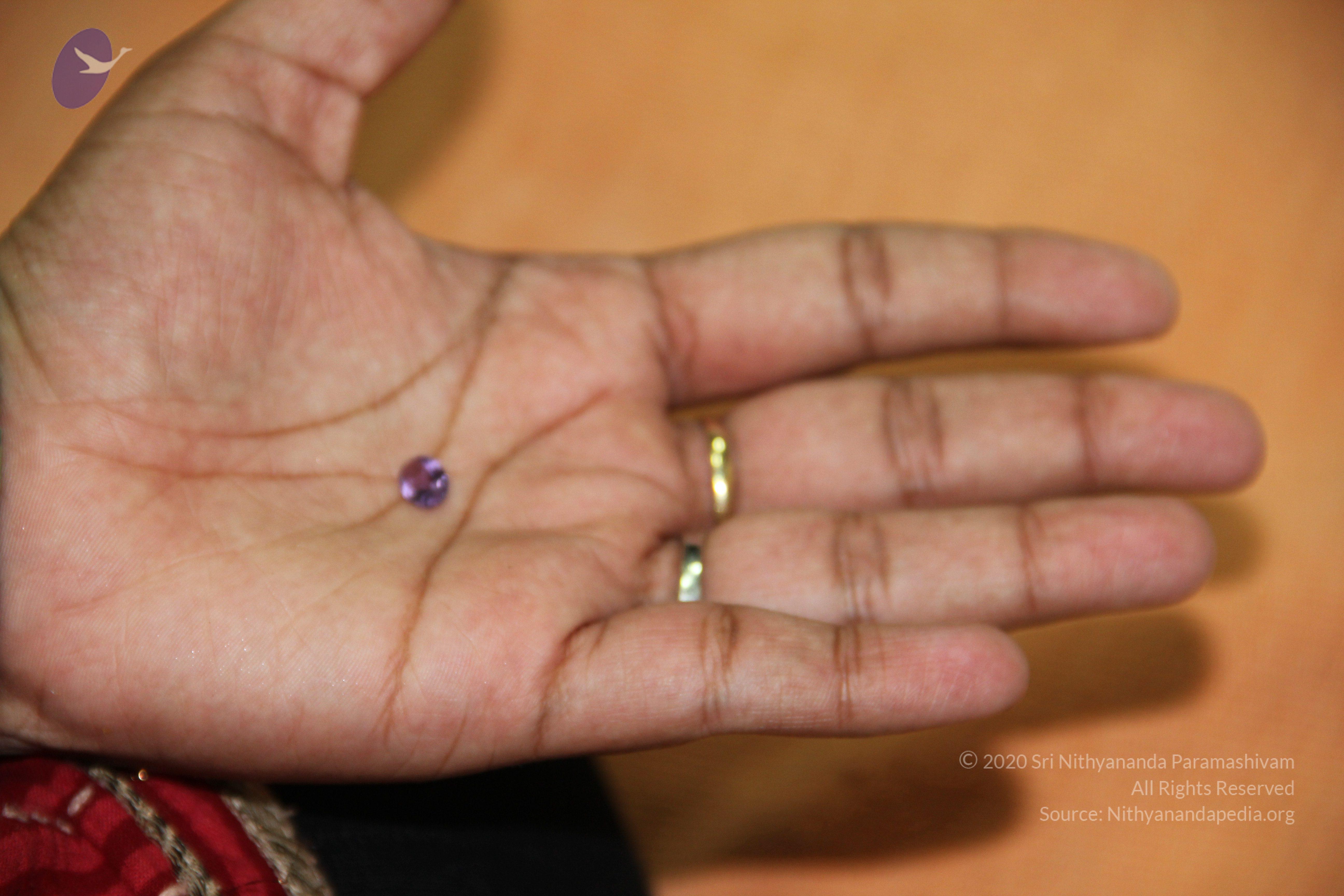 20110828_Photo_1025_IMG_2682_CMP_WM