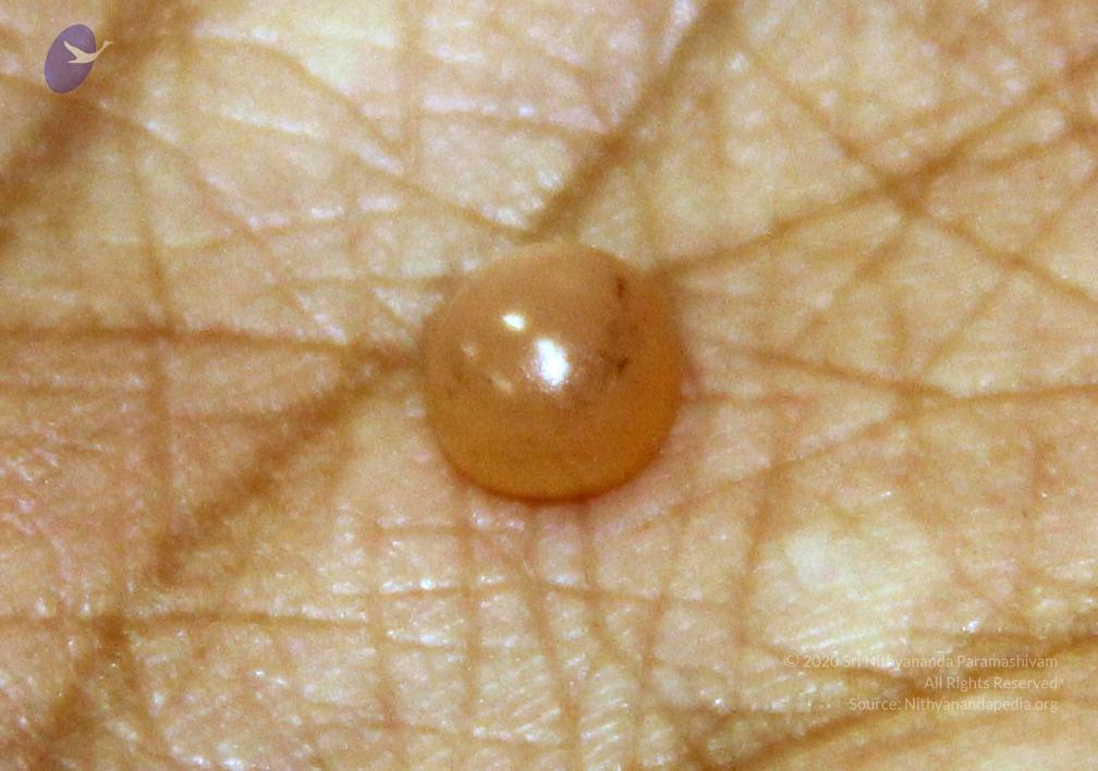 20110828_Photo_1026_49_CMP_WM