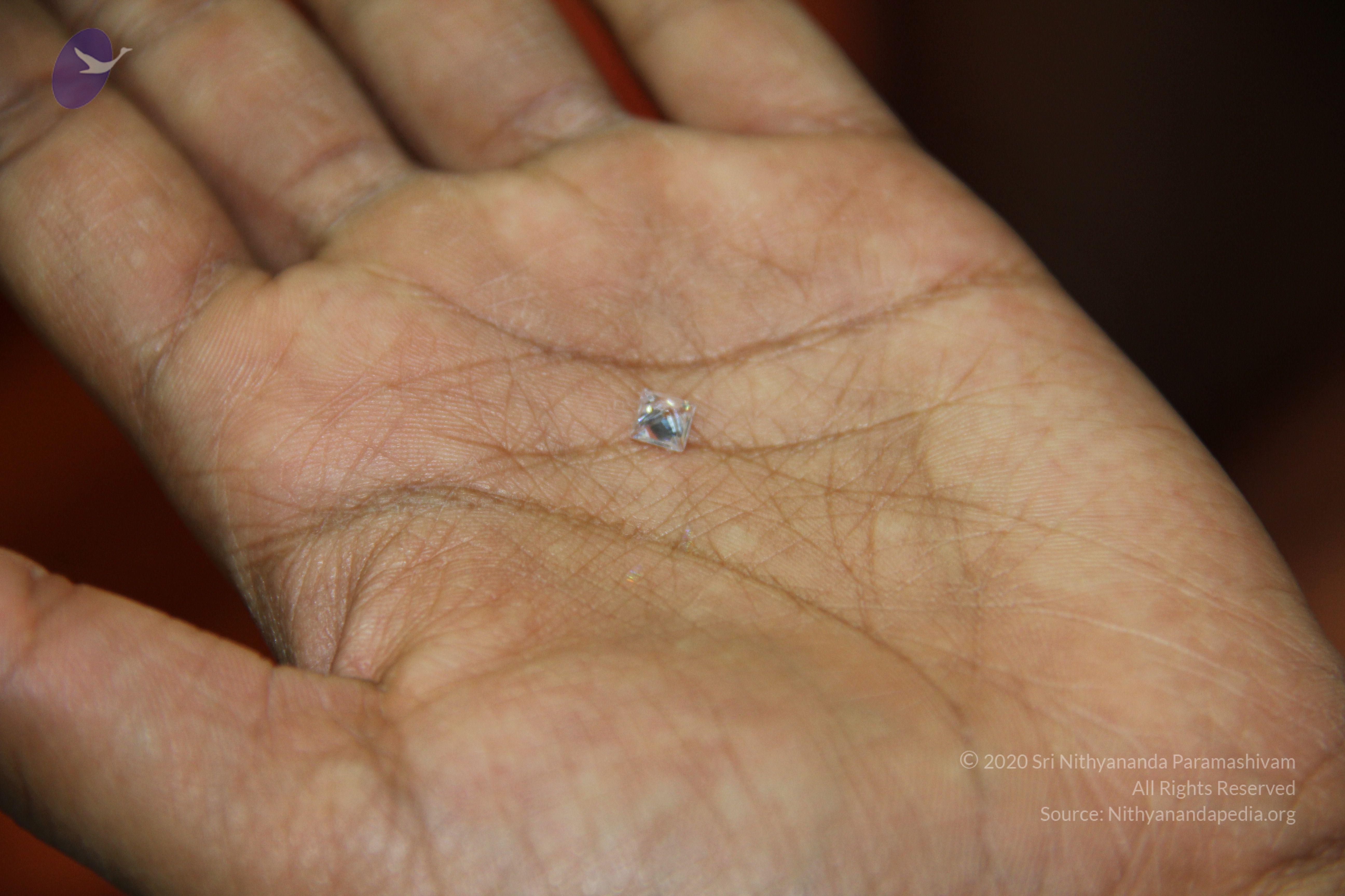 20110828_Photo_1027_IMG_2687_CMP_WM