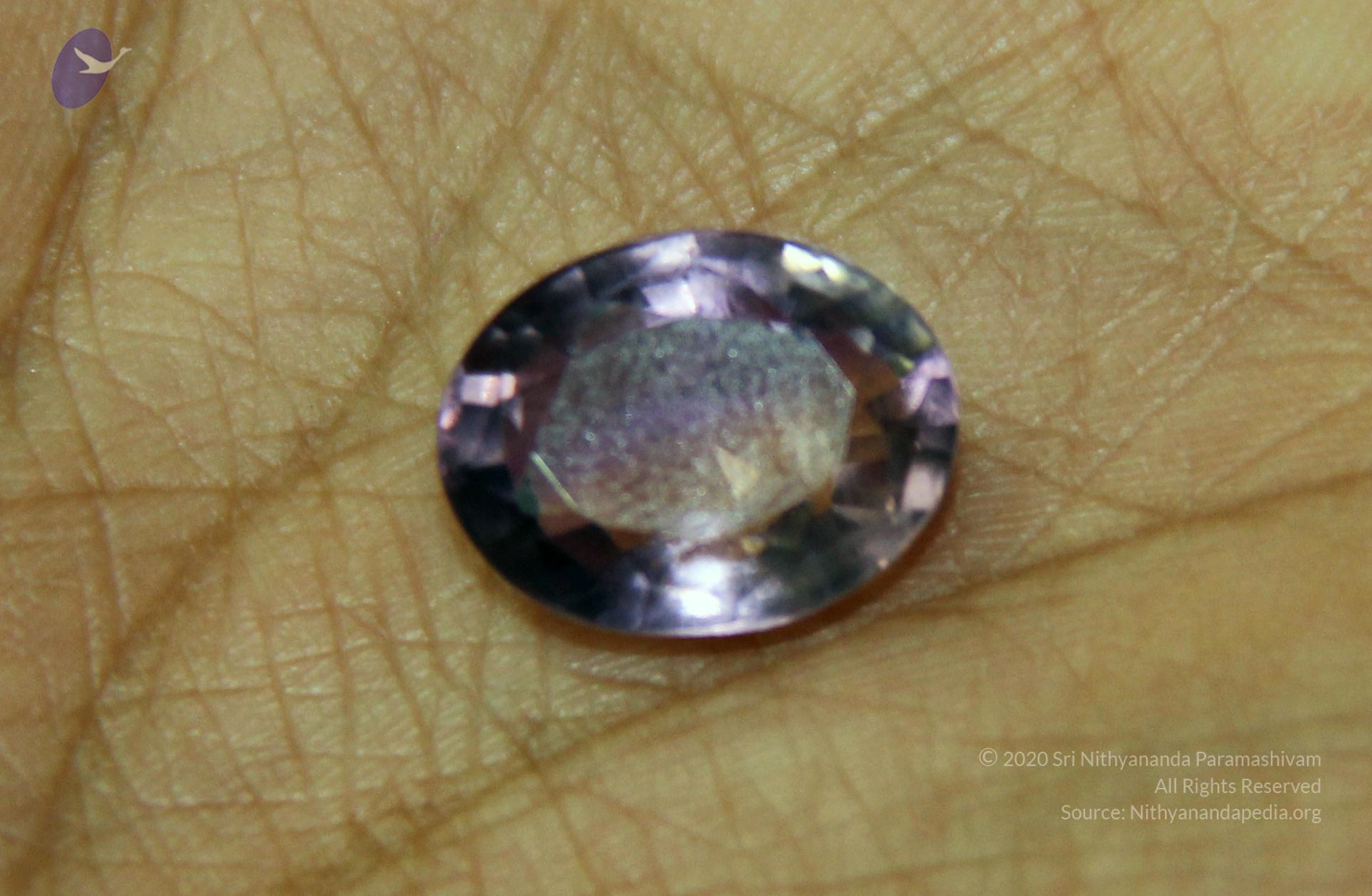 20110828_Photo_1029_50_CMP_WM