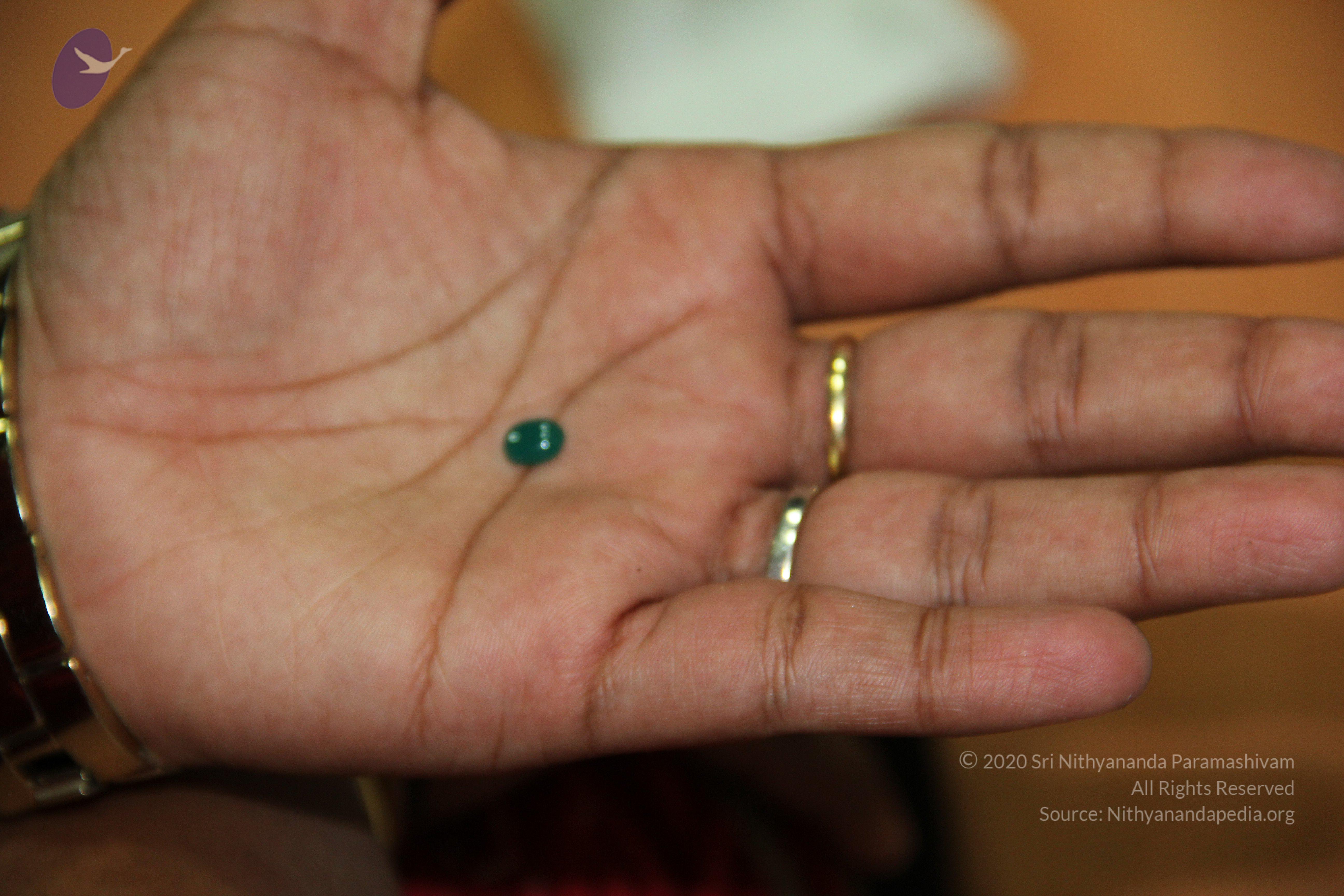 20110828_Photo_1031_IMG_2675_CMP_WM