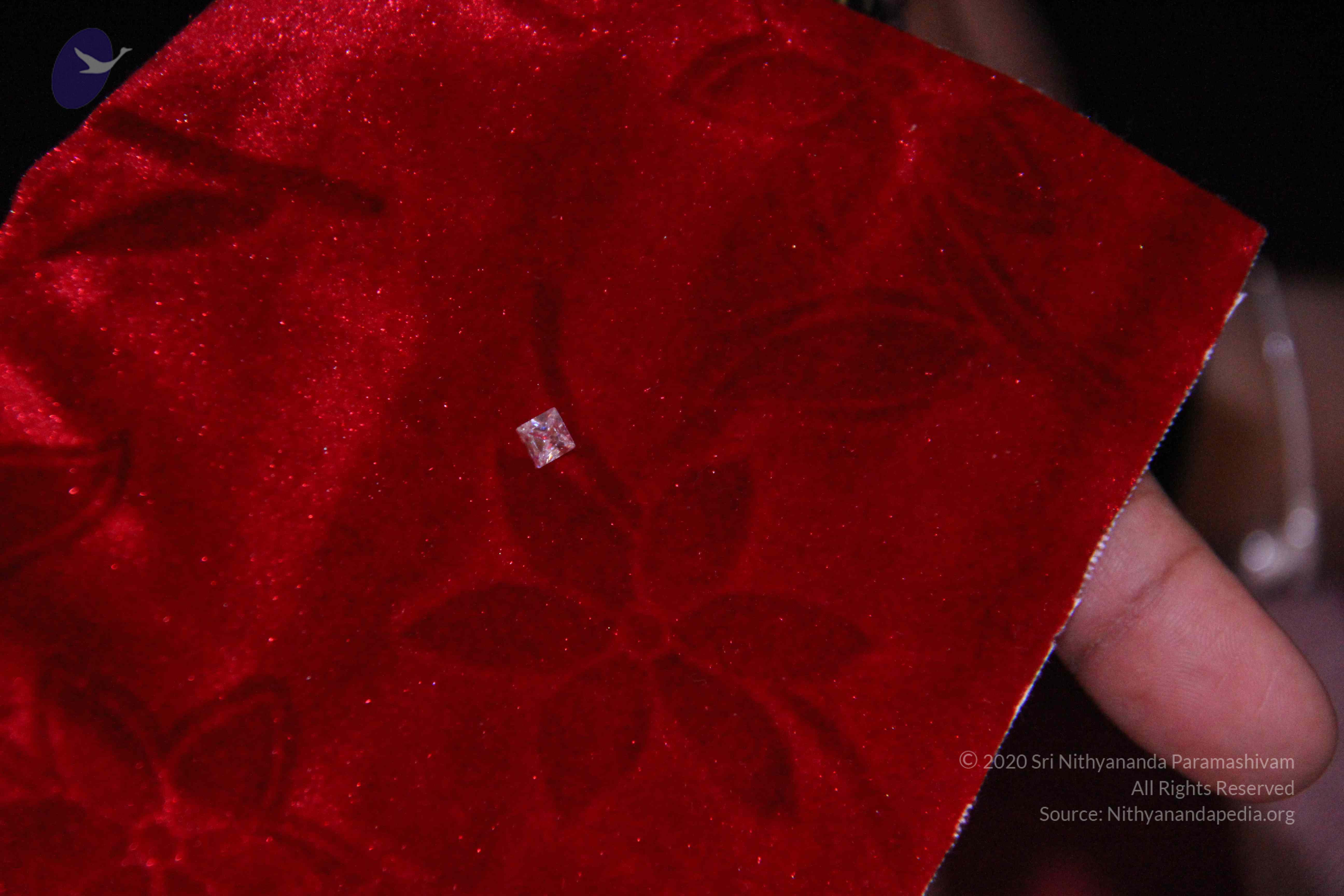 20110828_Photo_1032_23_CMP_WM