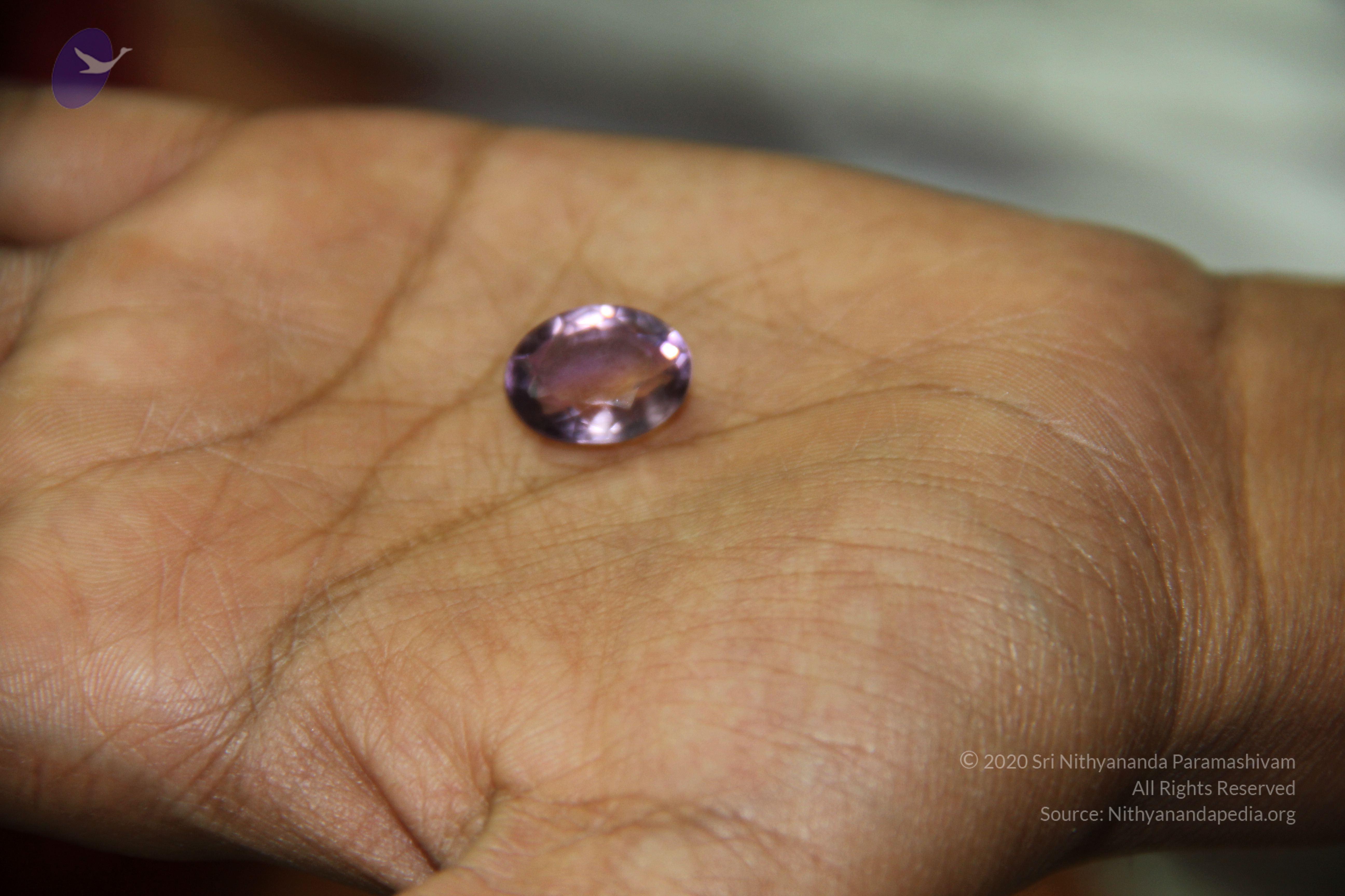 20110828_Photo_1034_IMG_2691_CMP_WM