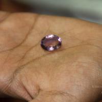 20110828_Photo_1034_IMG_2691_CMP_WM