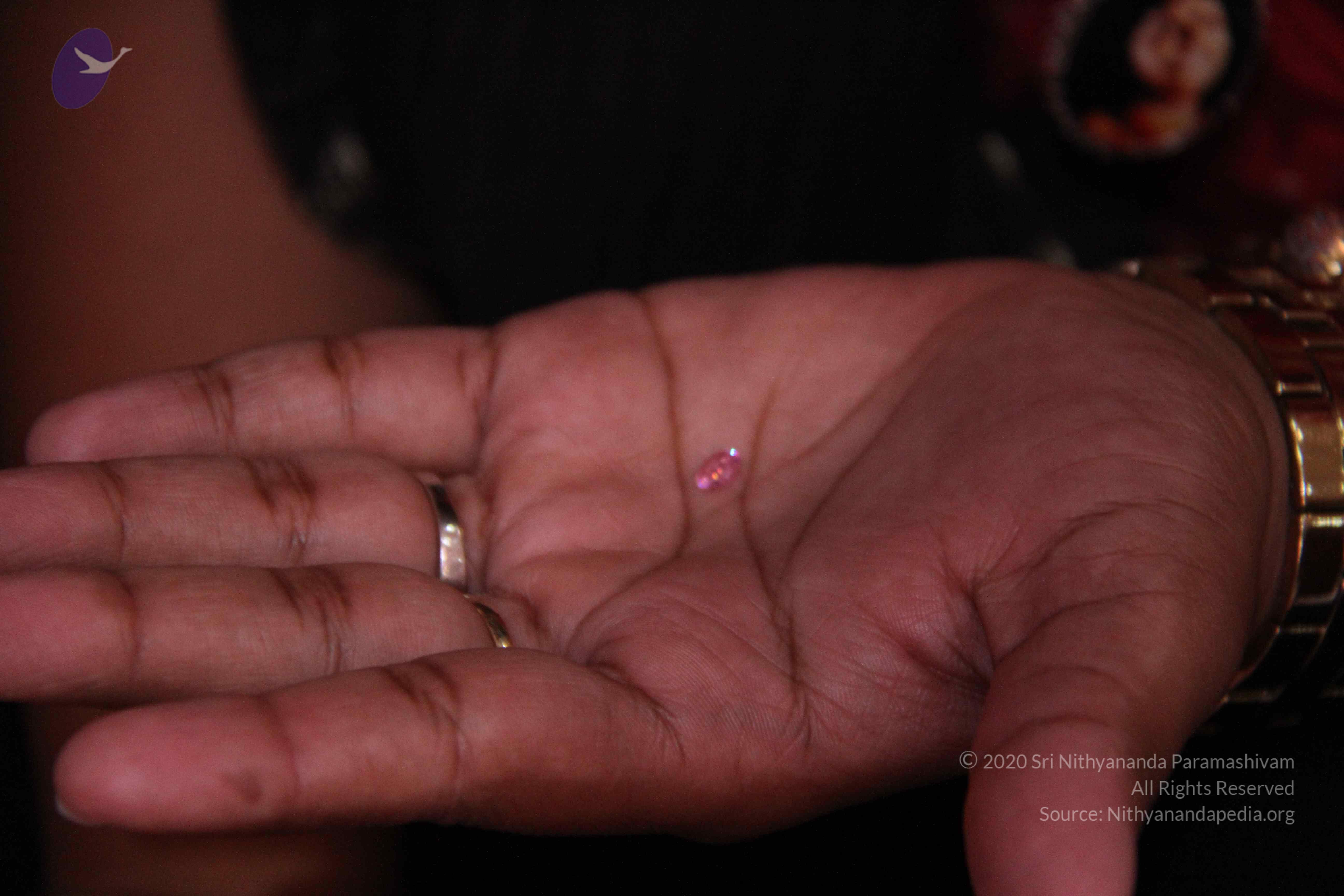 20110828_Photo_1036_IMG_1194_CMP_WM