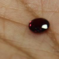 20110828_Photo_1038_52_CMP_WM