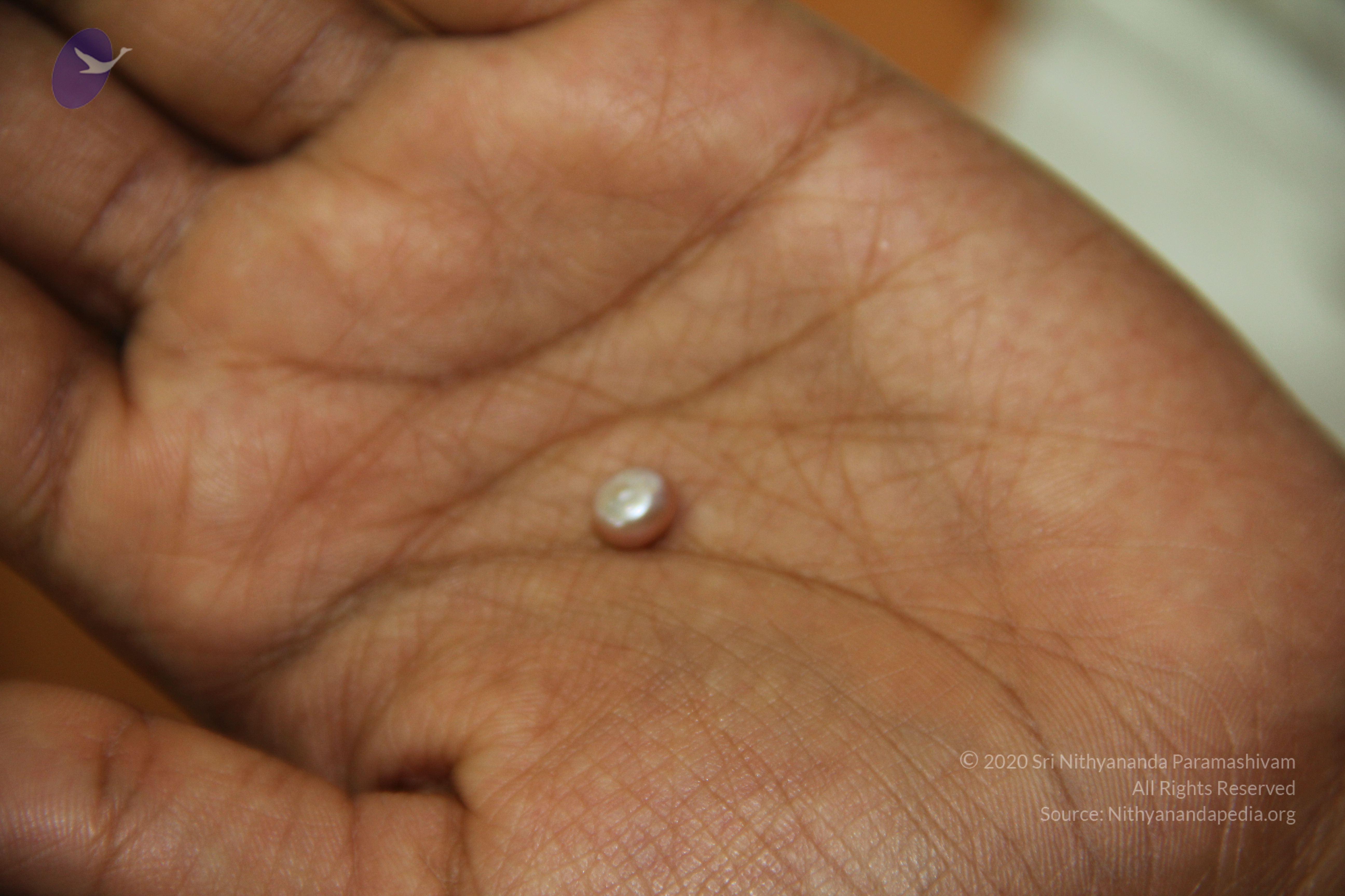 20110828_Photo_1039_IMG_2694_CMP_WM